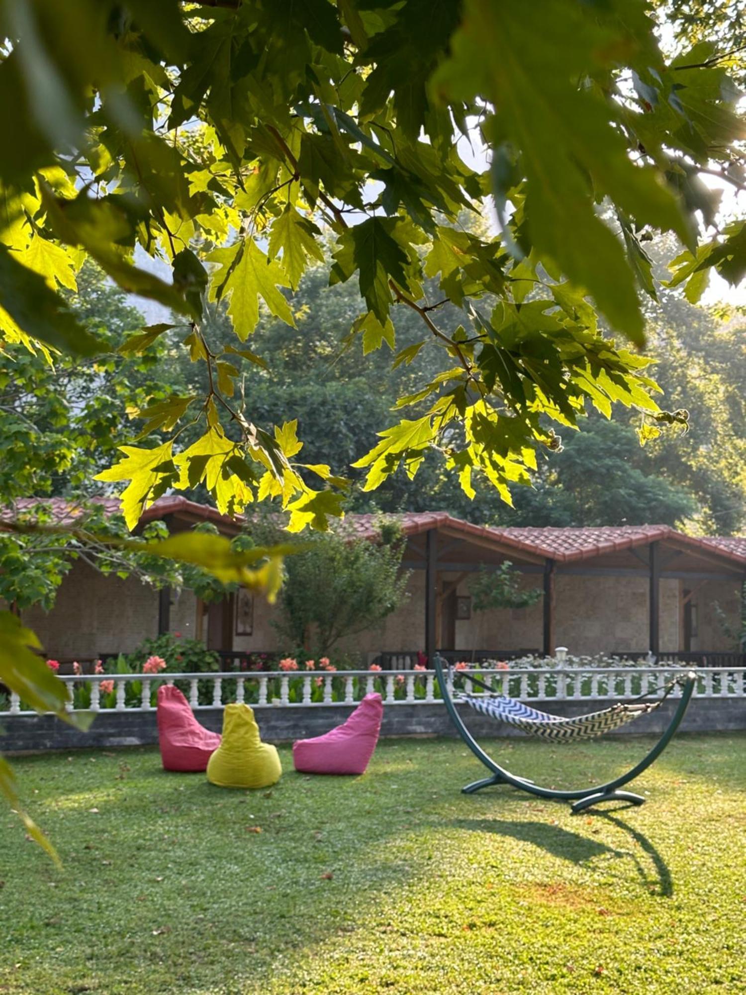 Hotel Likya Adrasan Extérieur photo
