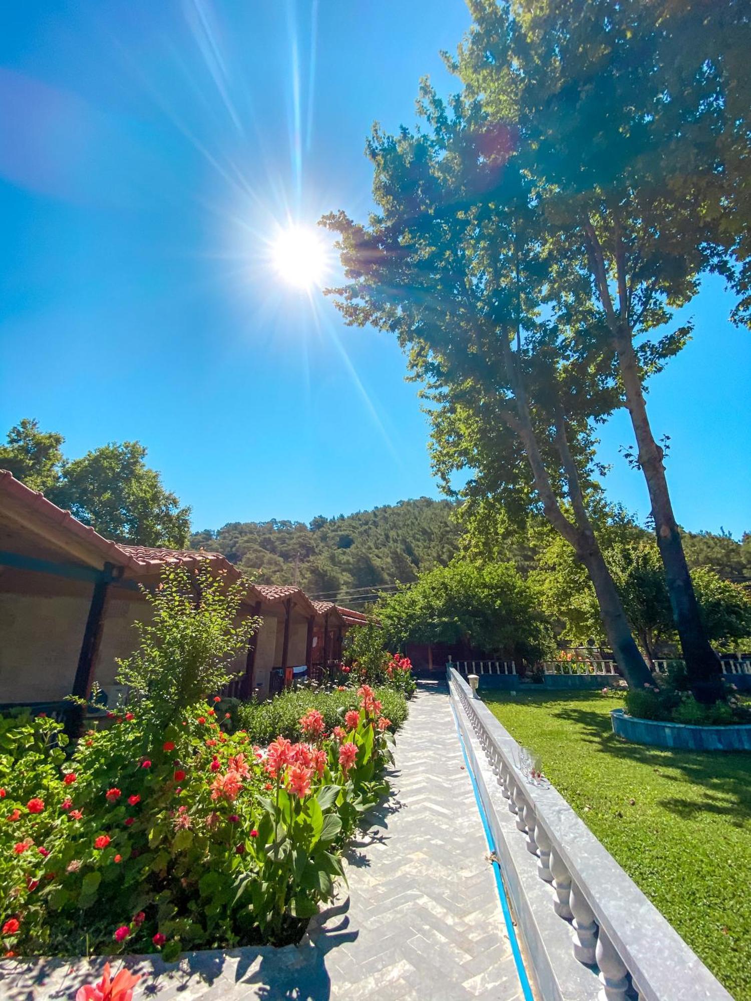 Hotel Likya Adrasan Extérieur photo